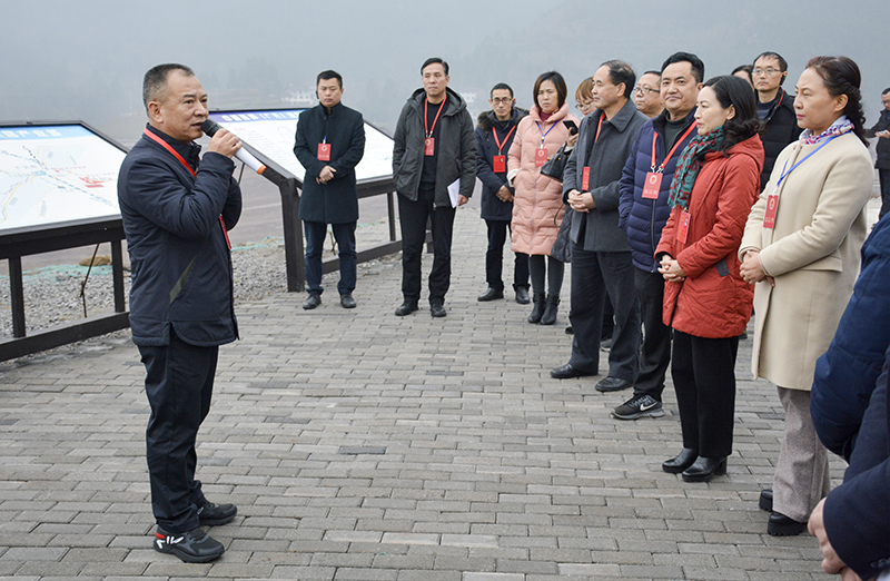 部分省市区人大代表来我区视察工作