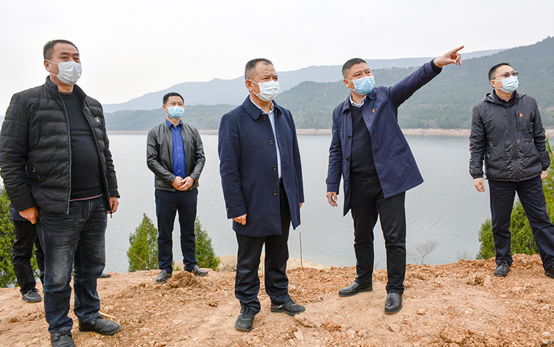 陈正永督导调研虎跳镇脱贫攻坚工作