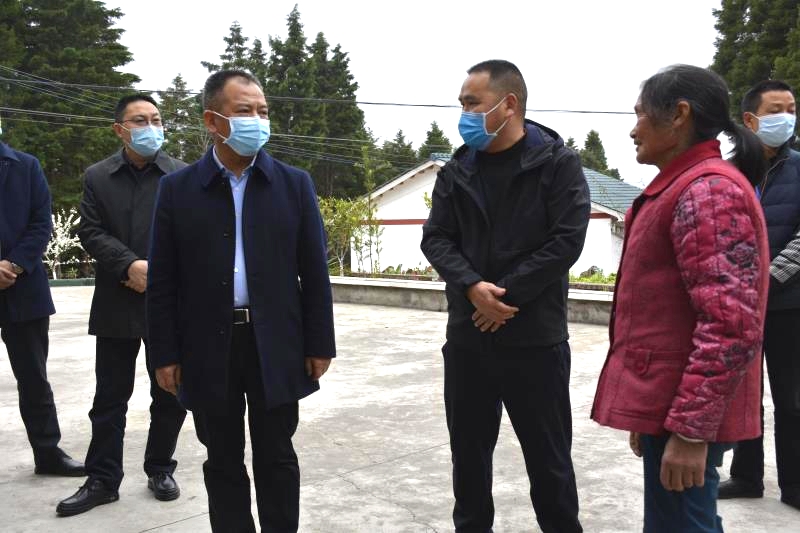 陈正永督导调研元坝镇中梁村脱贫攻坚工作