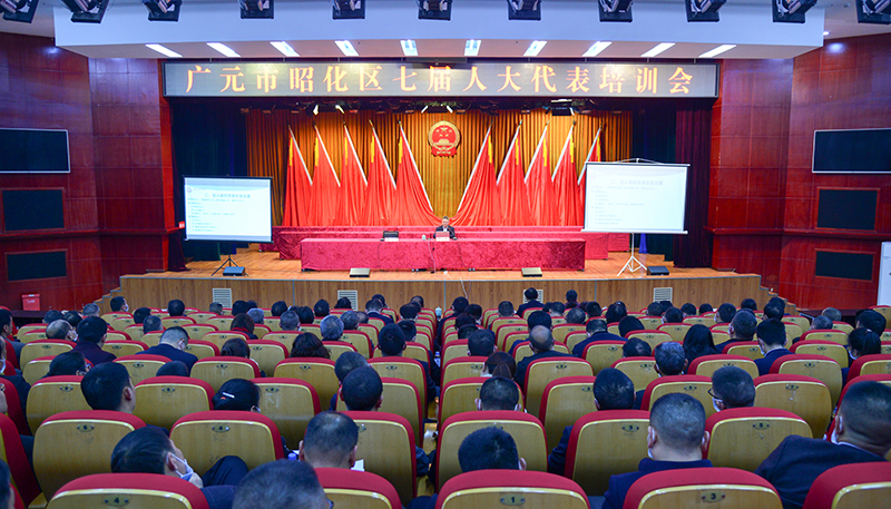 我区举办人大代表《民法典》专题培训