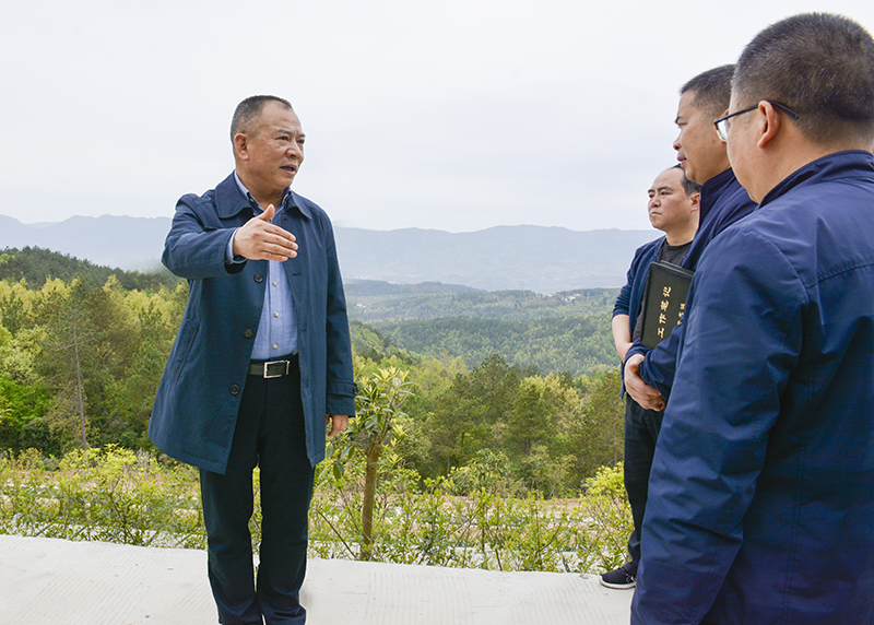 陈正永督导检查元坝镇森林防灭火、疫情防控、安全生产工作