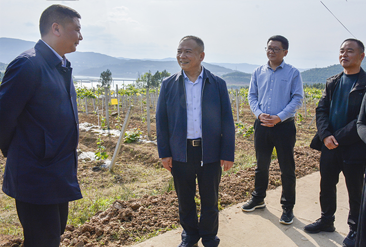 陈正永督导调研现代农业园区建设、产业发展、森林防灭火、两项改革“后半篇”文章等工作