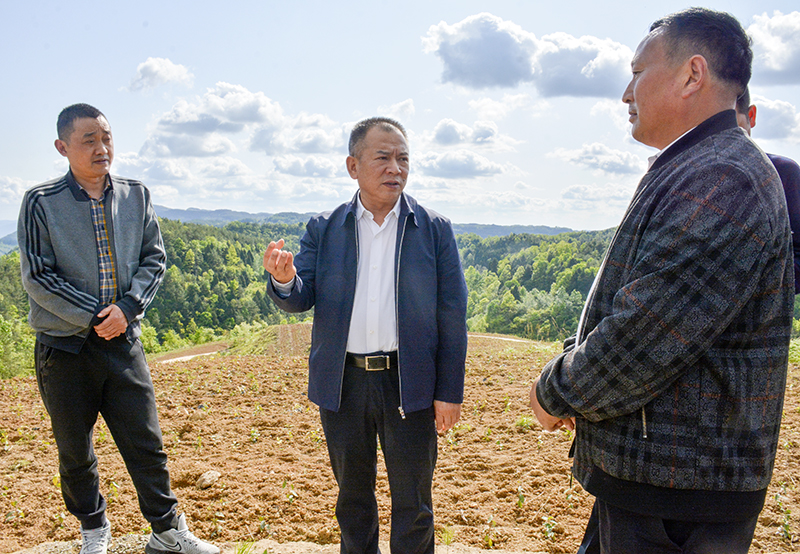 陈正永督导调研产业发展、项目建设、安全生产、森林防灭火等工作