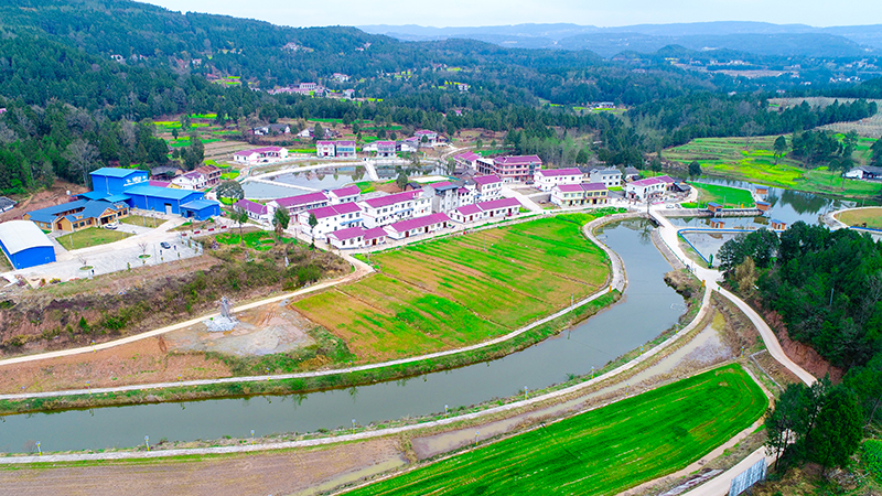 沃土炼初心  厚植为民情