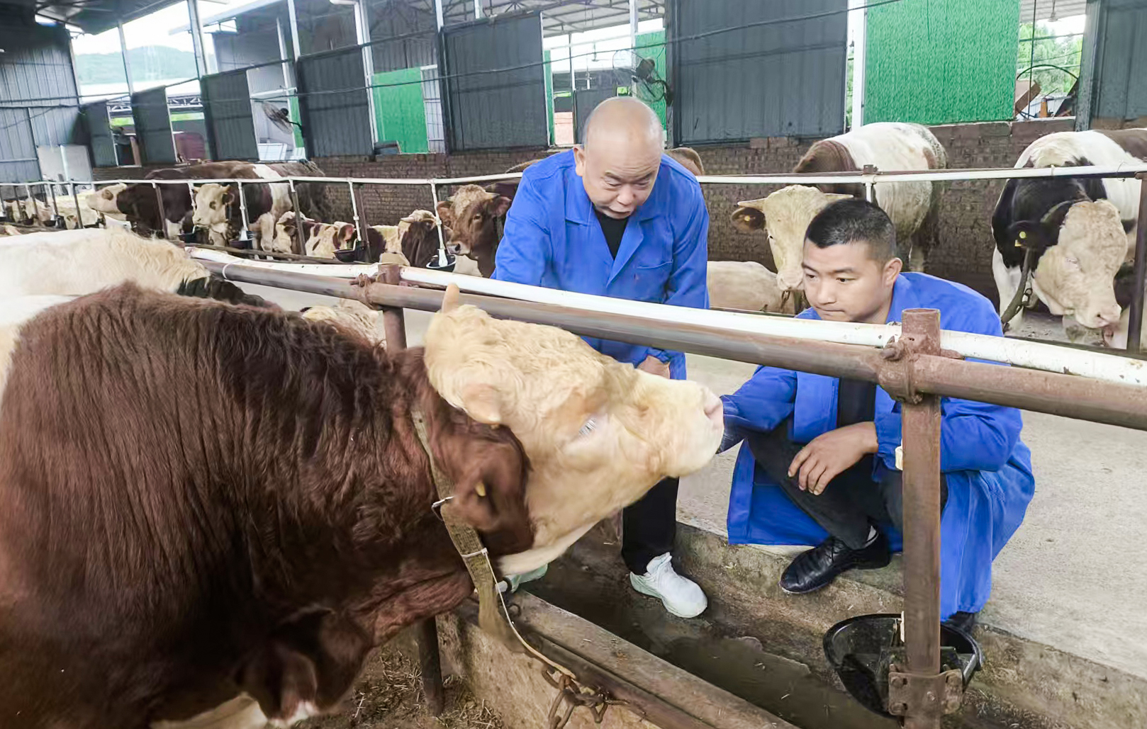 广元昭化：“金老汉”的“育徒经”里藏着乡村振兴大文章
