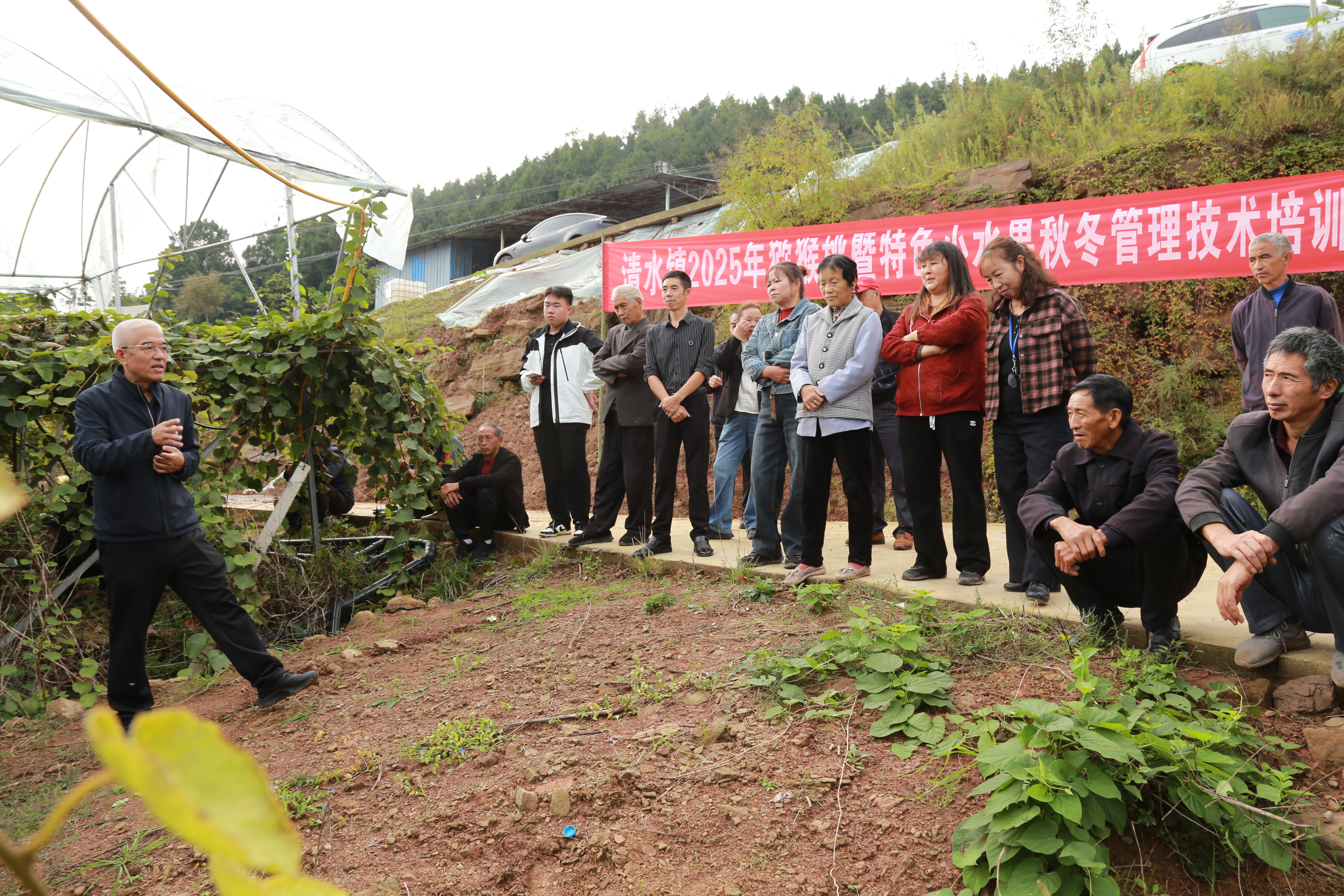 清水镇召开2025年猕猴桃及特色小水果秋冬管理技术培训现场会