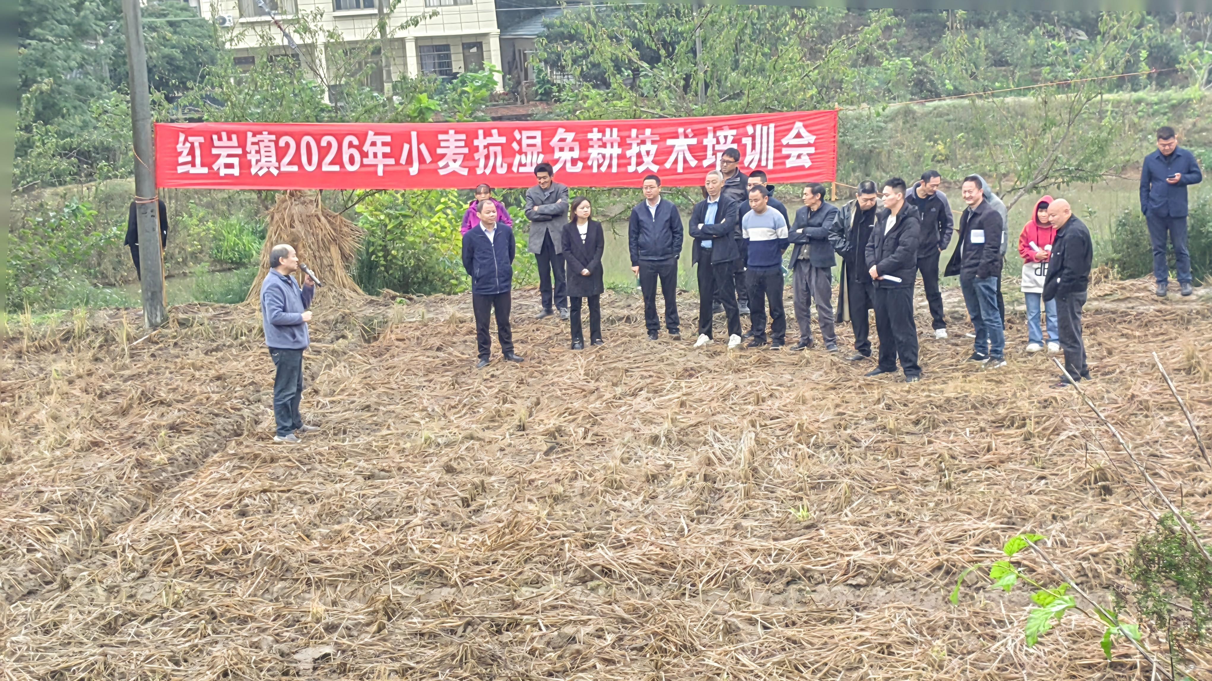 红岩镇召开2026年小春作物抗湿免耕技术现场培训会