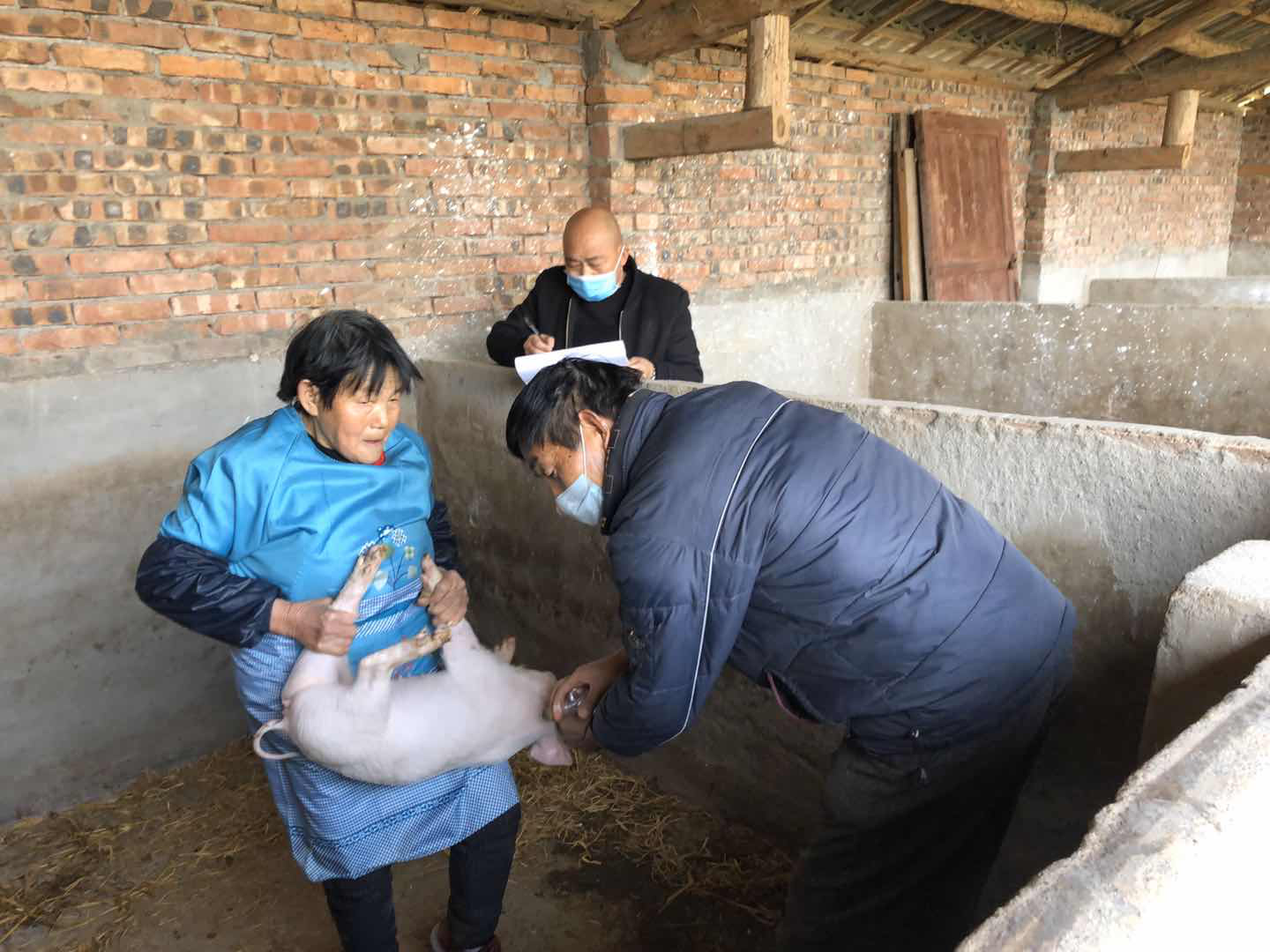 太公镇：以赛促防 扎实开展春防工作 