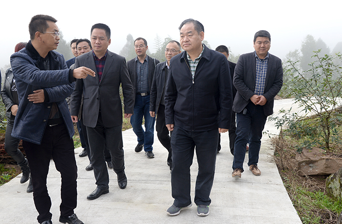 DSC_27457.jpg DSC_27457.jpg