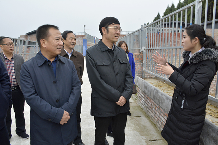 _DSC568807.jpg _DSC568807.jpg