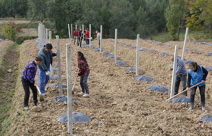 _DSC587607.jpg _DSC587607.jpg