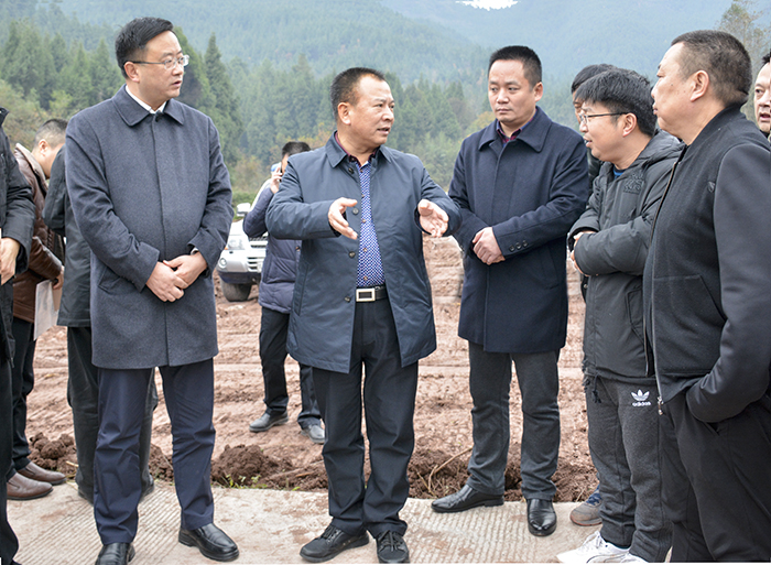 _DSC638407.jpg _DSC638407.jpg