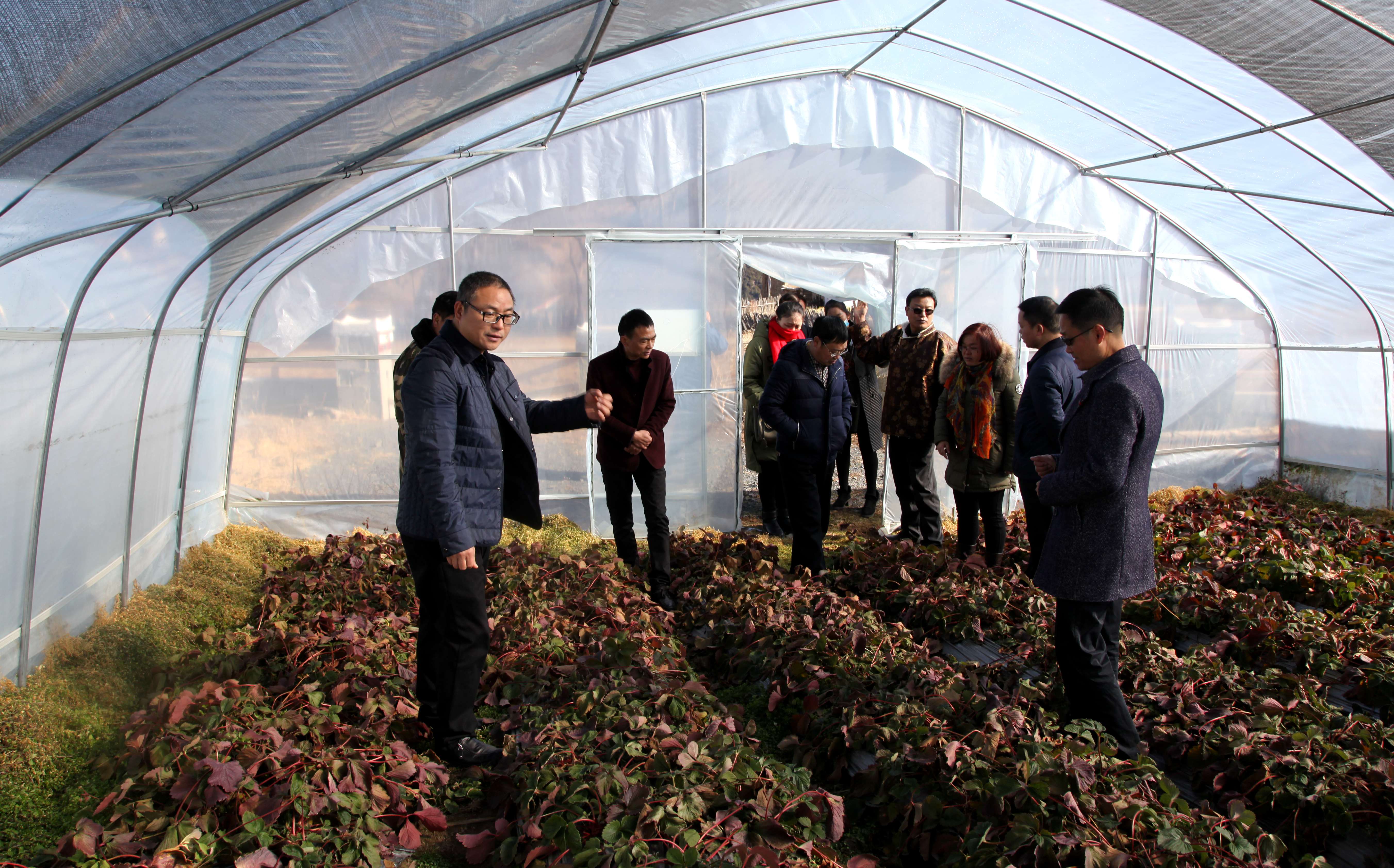 IMG_6921.JPG IMG_6921.JPG