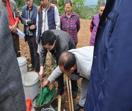 1QQ图片20160414104048.png 1QQ图片20160414104048.png