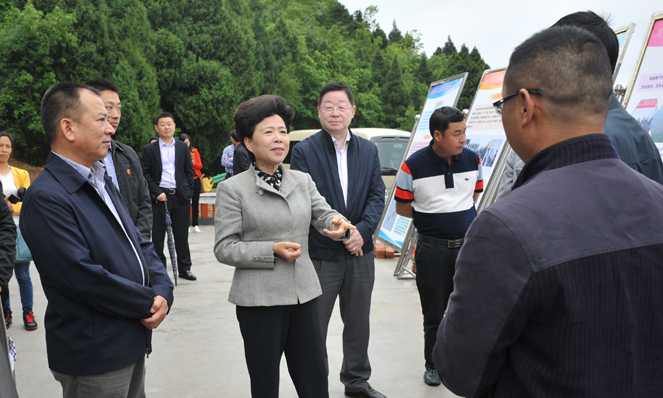 DSC_45.jpg DSC_45.jpg