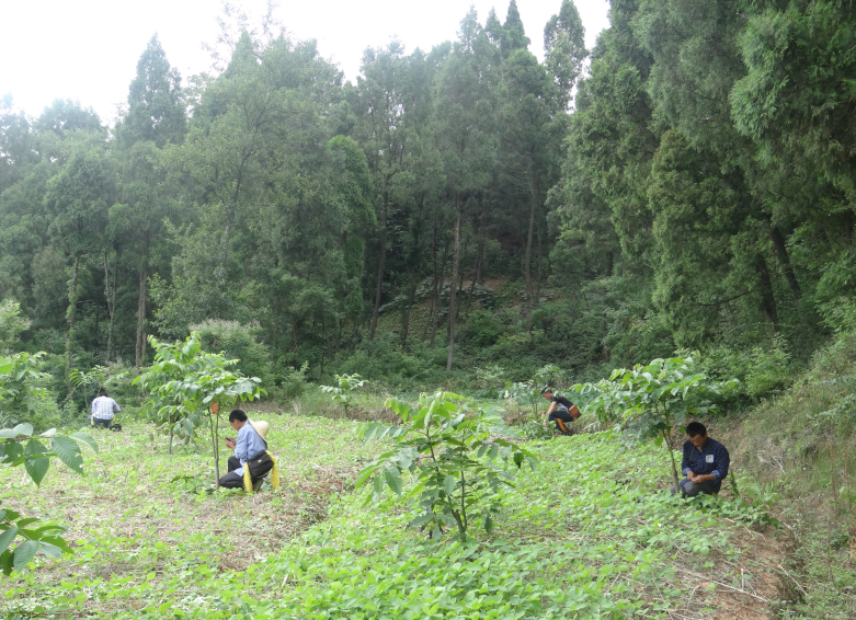 图片1.png 图片1.png