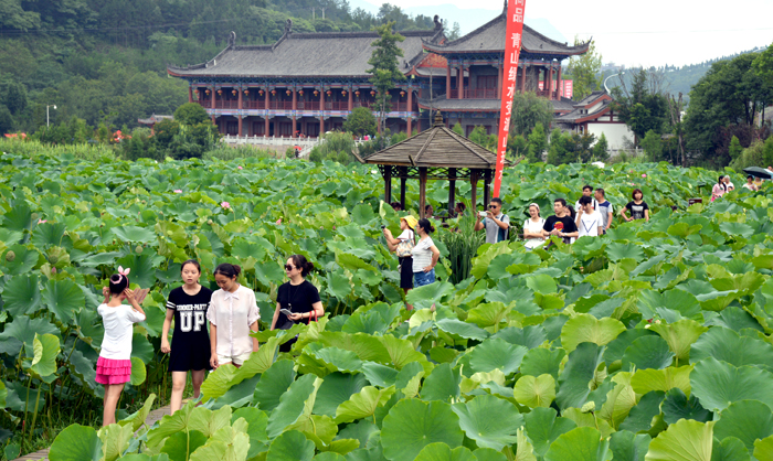 DSC_162507.jpg DSC_162507.jpg