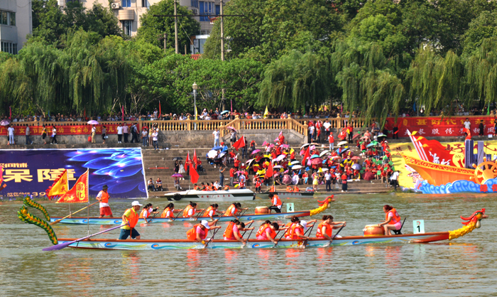 DSC_480107.jpg DSC_480107.jpg